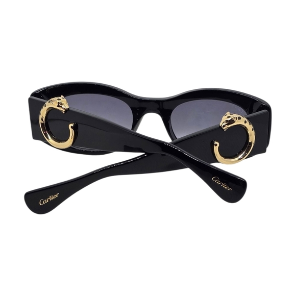 Chic Black Sunglasses with Gold Accents - Picture 7 of 9